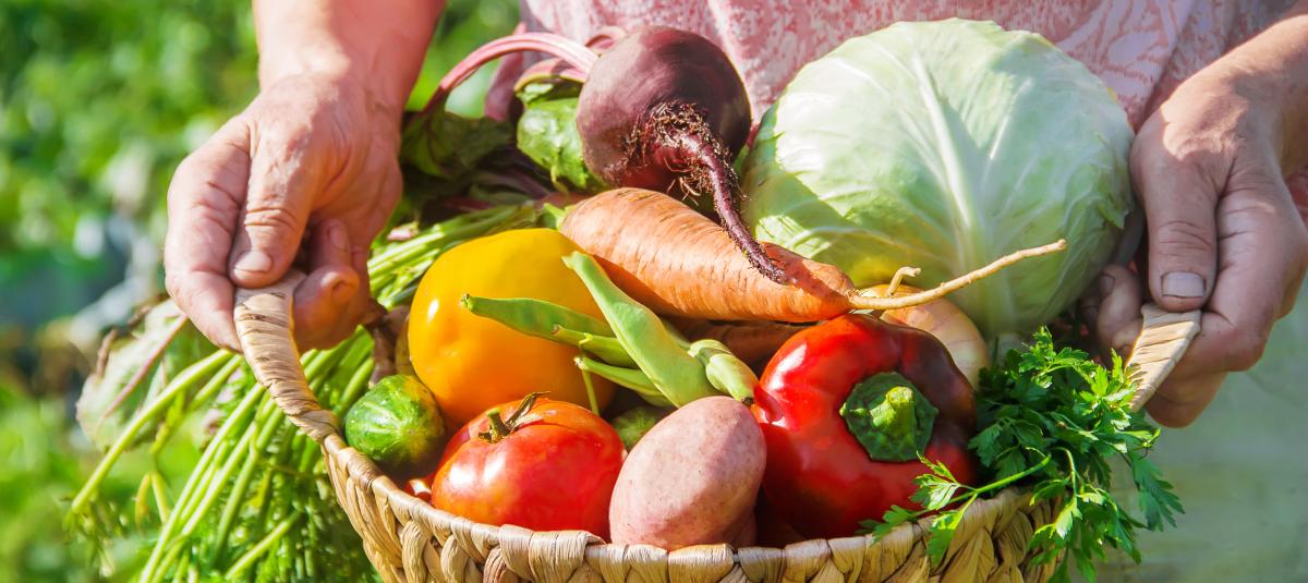 banner of Enjoy The Freshest Vegetables Possible by Growing Your Own (theessentialbs)