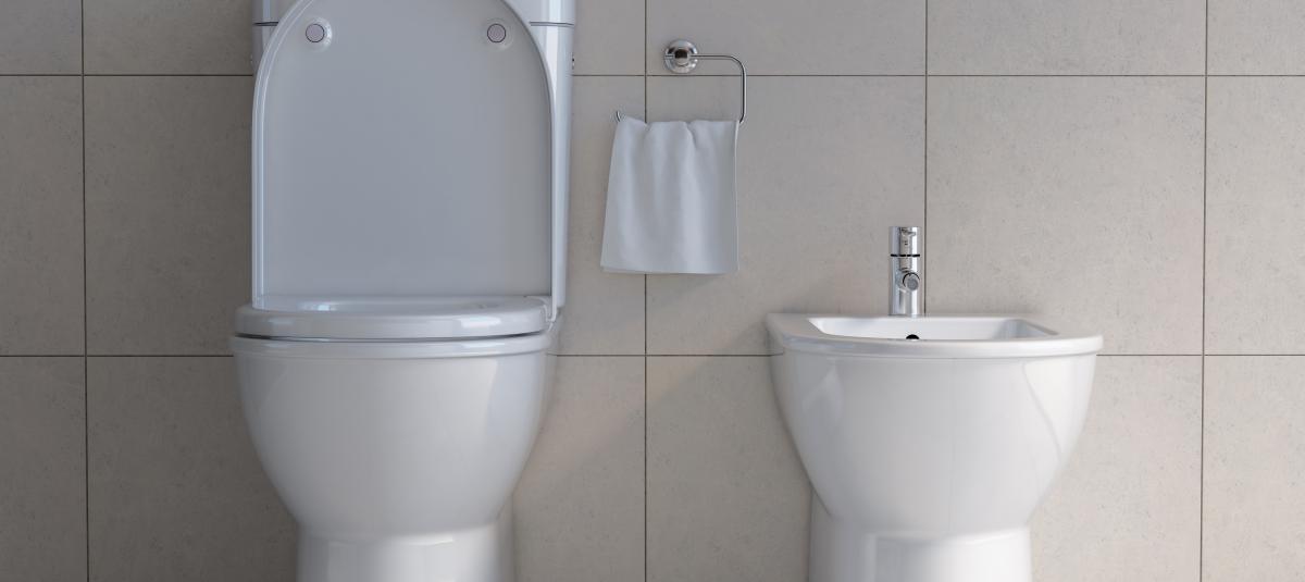 banner of Could Your Bathroom Benefit from a Bidet?