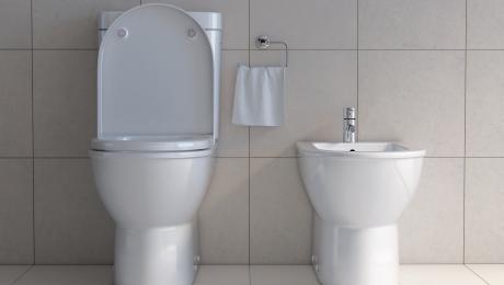 thumbnail of Could Your Bathroom Benefit from a Bidet?