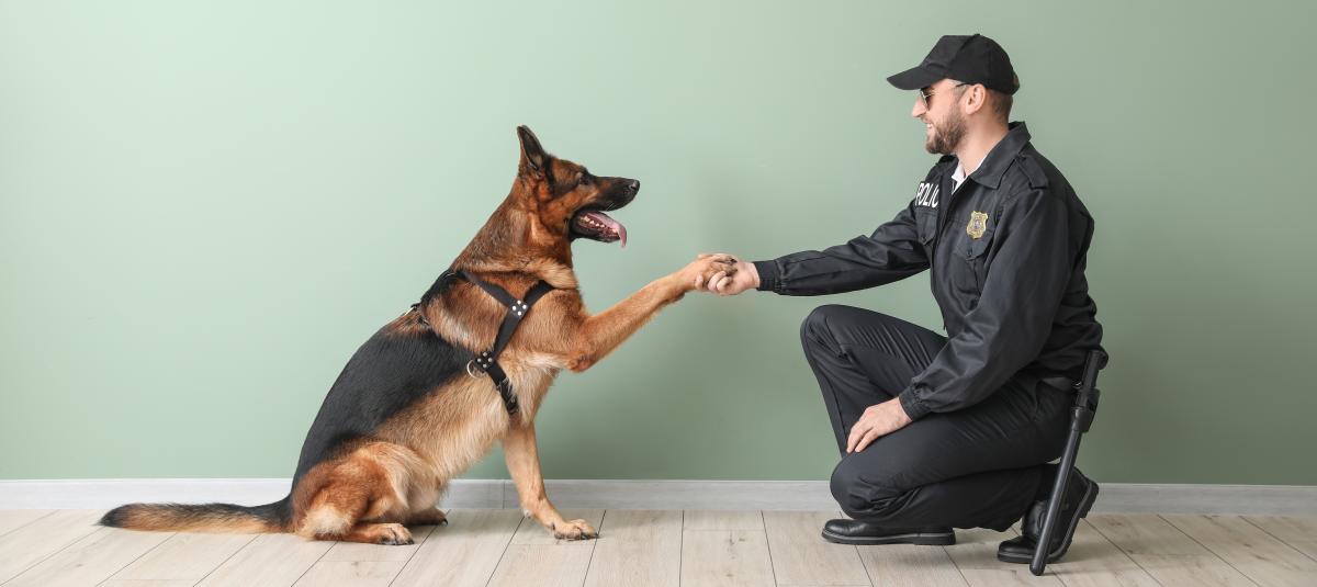 banner of Animal Control Services Provide a Valuable Service to the Community