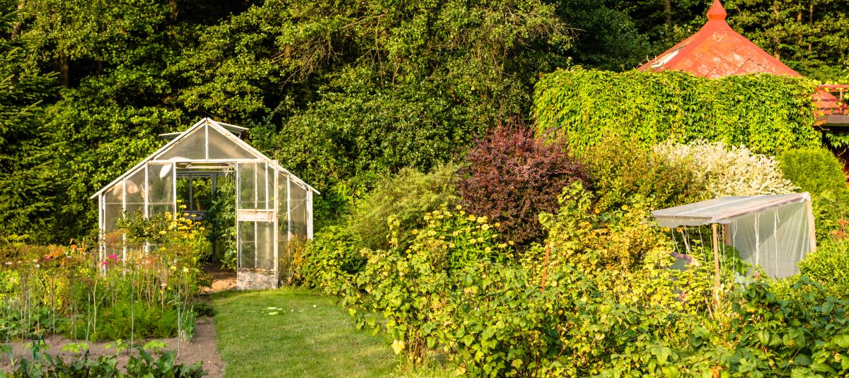 banner of Getting a Greenhouse for Your Home Is A Reasonable Goal