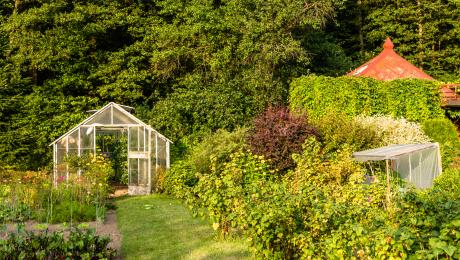 thumbnail of Getting a Greenhouse for Your Home Is A Reasonable Goal