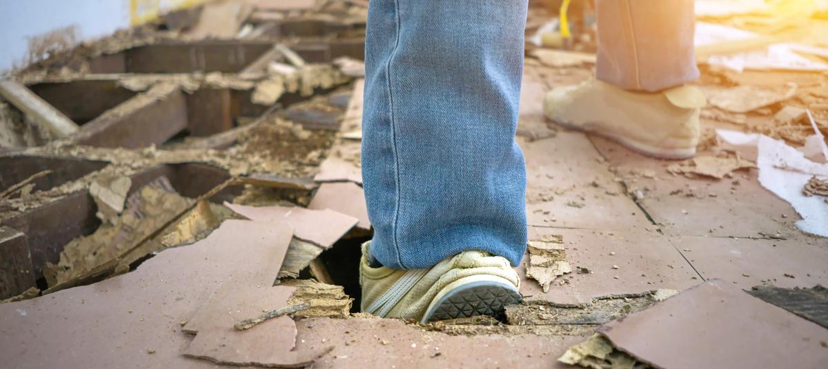 banner of Don't Let Termites Invade Your Home and Cause Damage