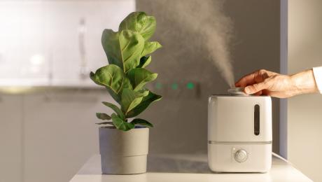 thumbnail of Humidifiers Are a Great Choice To Help End Overly Dry Air