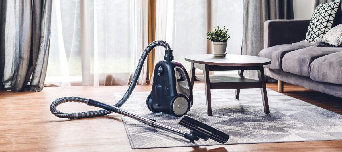 banner of Some Vacuums Manage to Truly Stand Out From the Rest (theessentialbs)