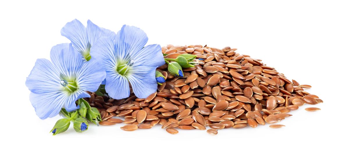 banner of The Health Benefits of Eating Flax Seeds Are Through the Roof