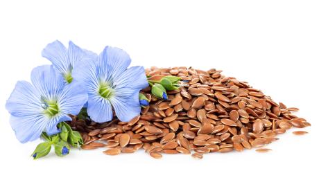 thumbnail of The Health Benefits of Eating Flax Seeds Are Through the Roof